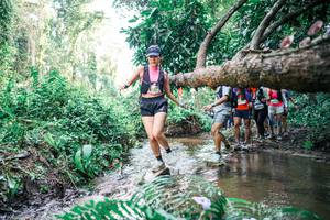 BIB: 
                            <button type="button" onclick="openModal(25476690)" class="btn btn-primary btn-sm float-right btn-popup" data-toggle="modal" data-target=".modal-high-quality">
                        <i class="fas fa-shopping-cart"></i> Add to Cart
                    </button>
                                            <button type="button" onclick="isThisMe(25476690, true)" class="btn btn-success btn-sm float-right btn-popup btn-isme hidden" data-toggle="tooltip" data-placement="bottom" title="นี่คือรูปของคุณใช่ไหม คลิกที่นี่เพื่อเอาเข้าอัลบั้ม">
                        <i class="fas fa-plus"></i> Add to album
                    </button>
                    <button type="button" onclick="isThisMe(25476690, false)" class="btn btn-warning btn-sm float-right btn-popup btn-isnotme hidden">
                        <i class="fas fa-ban"></i> Remove from album
                    </button>